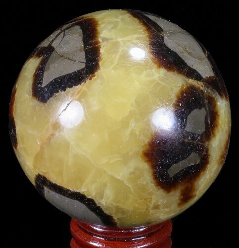 Polished Septarian Sphere - Madagascar #67859